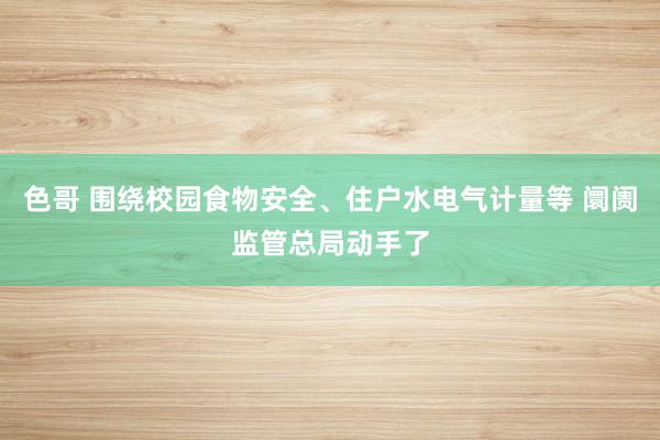色哥 围绕校园食物安全、住户水电气计量等 阛阓监管总局动手了