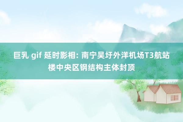 巨乳 gif 延时影相: 南宁吴圩外洋机场T3航站楼中央区钢结构主体封顶