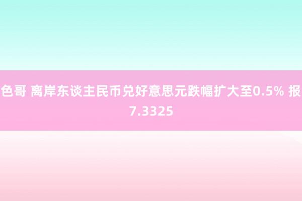 色哥 离岸东谈主民币兑好意思元跌幅扩大至0.5% 报7.3325