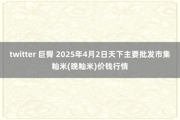 twitter 巨臀 2025年4月2日天下主要批发市集籼米(晚籼米)价钱行情