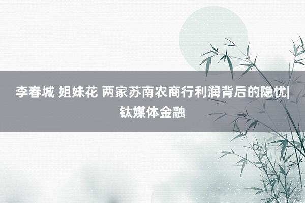 李春城 姐妹花 两家苏南农商行利润背后的隐忧|钛媒体金融