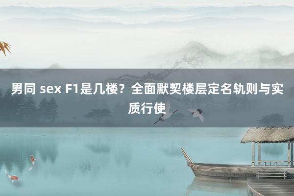男同 sex F1是几楼？全面默契楼层定名轨则与实质行使