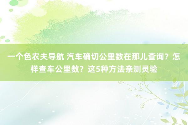一个色农夫导航 汽车确切公里数在那儿查询？怎样查车公里数？这5种方法亲测灵验