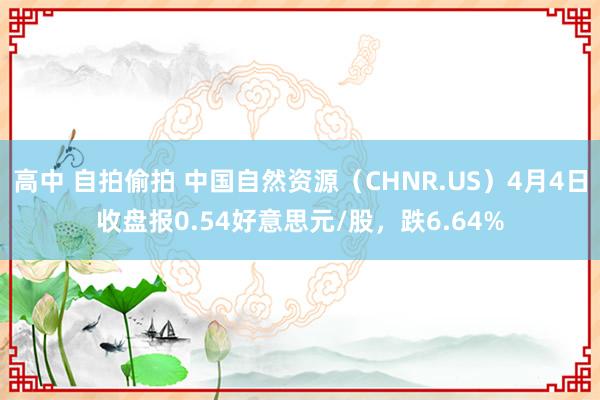 高中 自拍偷拍 中国自然资源（CHNR.US）4月4日收盘报0.54好意思元/股，跌6.64%