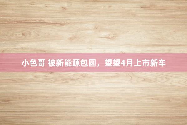 小色哥 被新能源包圆，望望4月上市新车