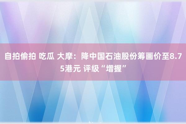 自拍偷拍 吃瓜 大摩：降中国石油股份筹画价至8.75港元 评级“增握”