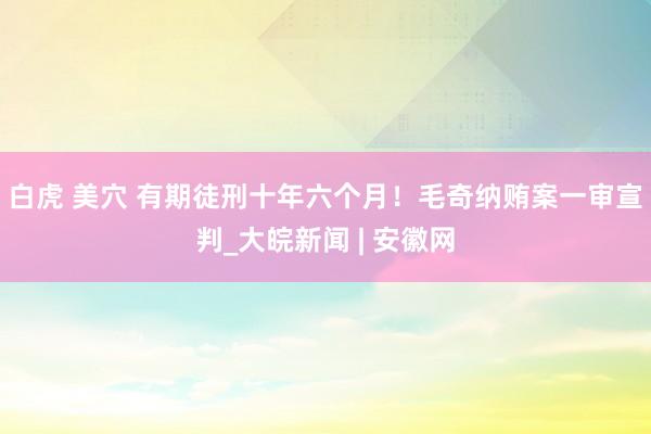 白虎 美穴 有期徒刑十年六个月！毛奇纳贿案一审宣判_大皖新闻 | 安徽网