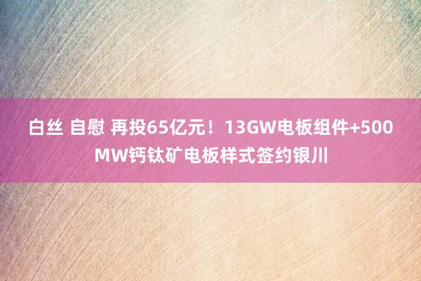 白丝 自慰 再投65亿元！13GW电板组件+500MW钙钛矿电板样式签约银川