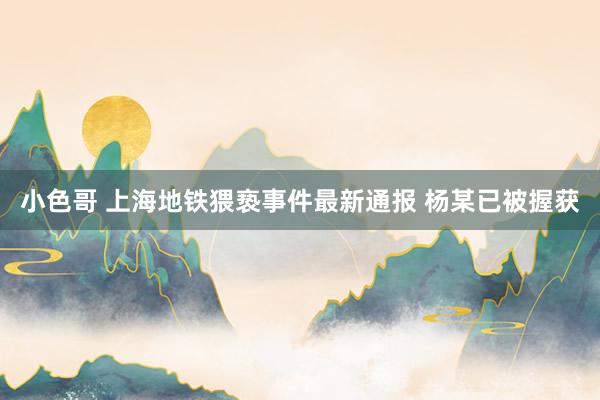 小色哥 上海地铁猥亵事件最新通报 杨某已被握获