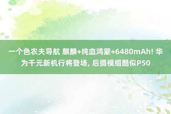 一个色农夫导航 麒麟+纯血鸿蒙+6480mAh! 华为千元新机行将登场, 后摄模组酷似P50
