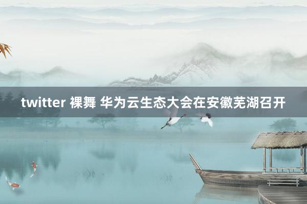 twitter 裸舞 华为云生态大会在安徽芜湖召开
