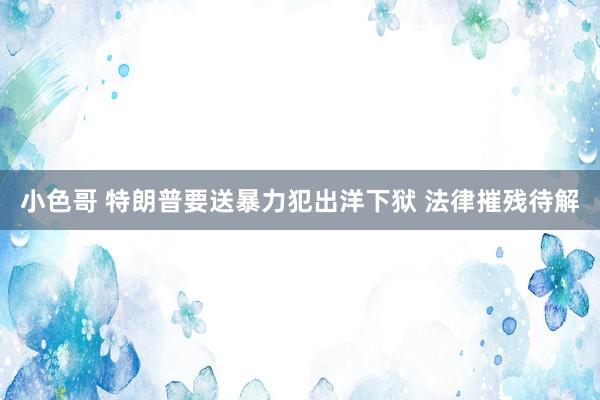 小色哥 特朗普要送暴力犯出洋下狱 法律摧残待解