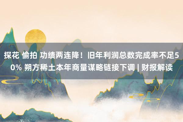 探花 偷拍 功绩两连降！旧年利润总数完成率不足50% 朔方稀土本年商量谋略链接下调 | 财报解读