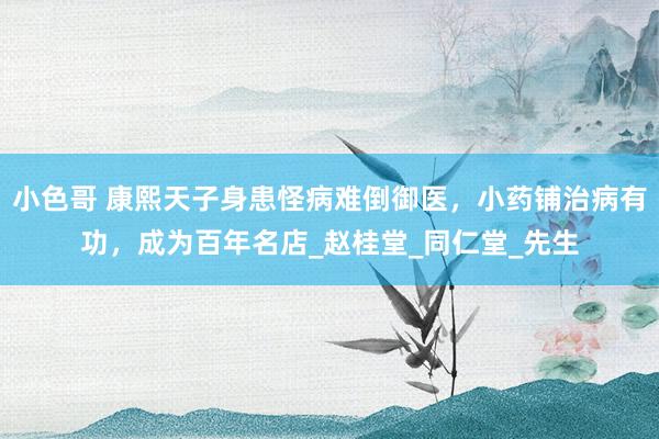小色哥 康熙天子身患怪病难倒御医，小药铺治病有功，成为百年名店_赵桂堂_同仁堂_先生