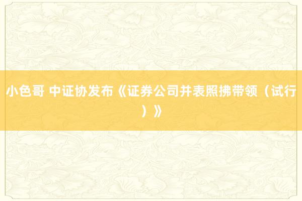 小色哥 中证协发布《证券公司并表照拂带领（试行）》