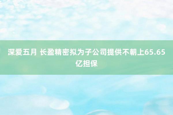 深爱五月 长盈精密拟为子公司提供不朝上65.65亿担保