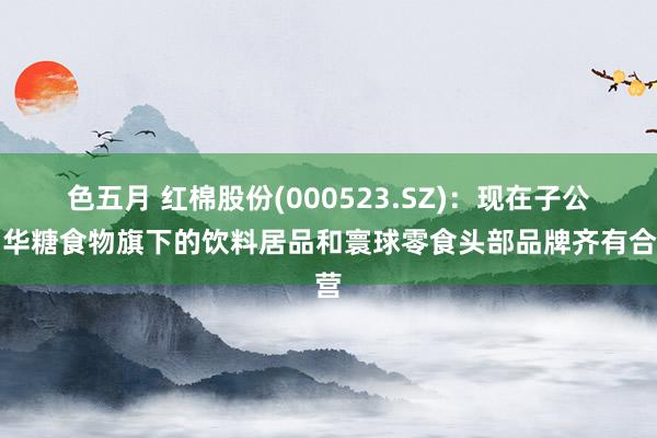 色五月 红棉股份(000523.SZ)：现在子公司华糖食物旗下的饮料居品和寰球零食头部品牌齐有合营