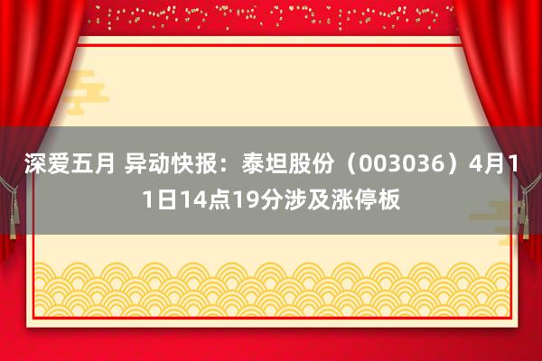 深爱五月 异动快报：泰坦股份（003036）4月11日14点19分涉及涨停板