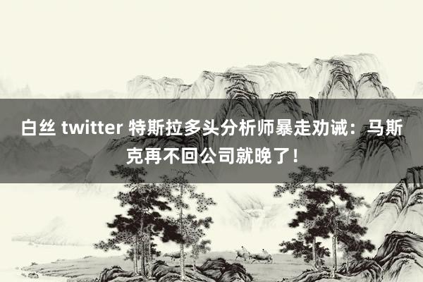 白丝 twitter 特斯拉多头分析师暴走劝诫：马斯克再不回公司就晚了！