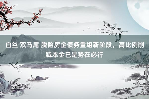 白丝 双马尾 脱险房企债务重组新阶段，高比例削减本金已是势在必行