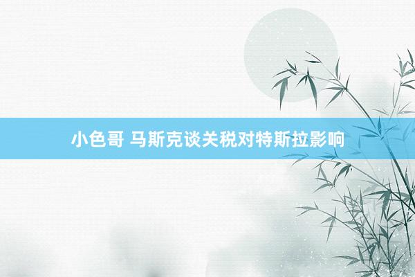 小色哥 马斯克谈关税对特斯拉影响