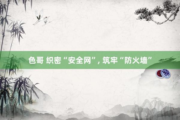 色哥 织密“安全网”， 筑牢“防火墙”