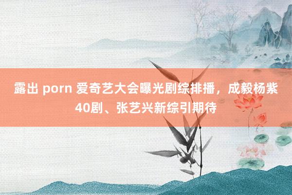 露出 porn 爱奇艺大会曝光剧综排播，成毅杨紫40剧、张艺兴新综引期待