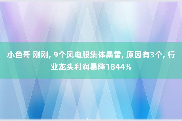 小色哥 刚刚, 9个风电股集体暴雷, 原因有3个, 行业龙头利润暴降1844%