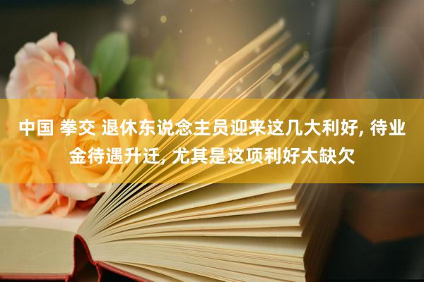 中国 拳交 退休东说念主员迎来这几大利好, 待业金待遇升迁, 尤其是这项利好太缺欠