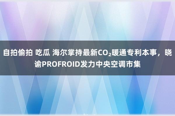 自拍偷拍 吃瓜 海尔掌持最新CO₂暖通专利本事，晓谕PROFROID发力中央空调市集
