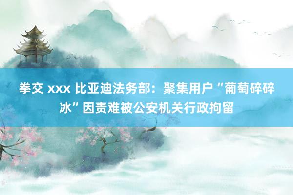 拳交 xxx 比亚迪法务部：聚集用户“葡萄碎碎冰”因责难被公安机关行政拘留