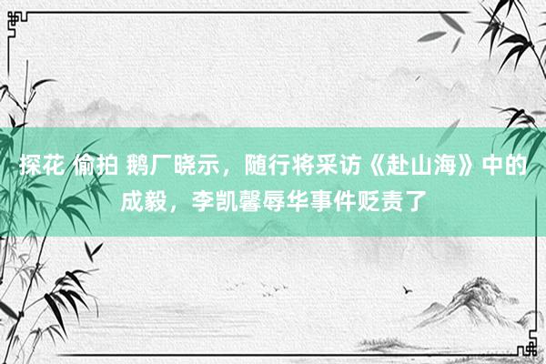 探花 偷拍 鹅厂晓示，随行将采访《赴山海》中的成毅，李凯馨辱华事件贬责了