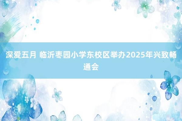 深爱五月 临沂枣园小学东校区举办2025年兴致畅通会