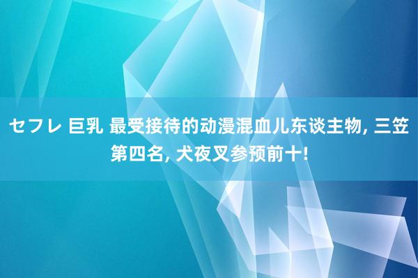 セフレ 巨乳 最受接待的动漫混血儿东谈主物， 三笠第四名， 犬夜叉参预前十!