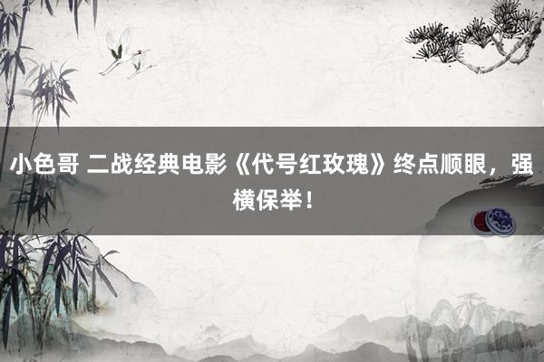 小色哥 二战经典电影《代号红玫瑰》终点顺眼，强横保举！